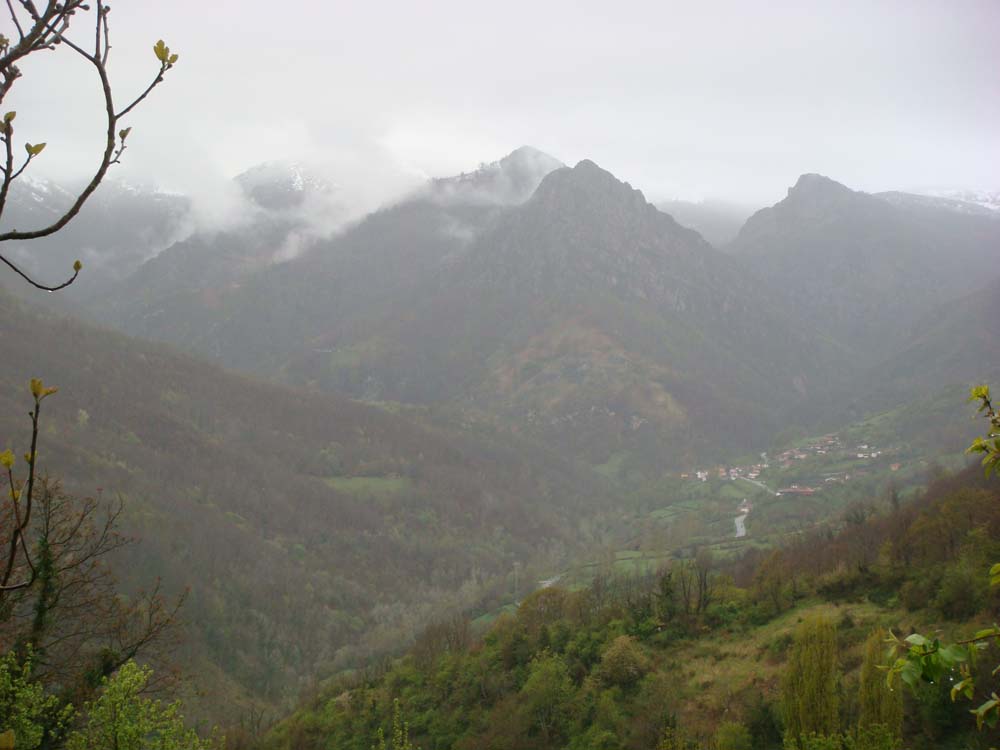 asturias spain bernese